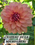 CHATEAU DE LA BOURDAISERE image 0