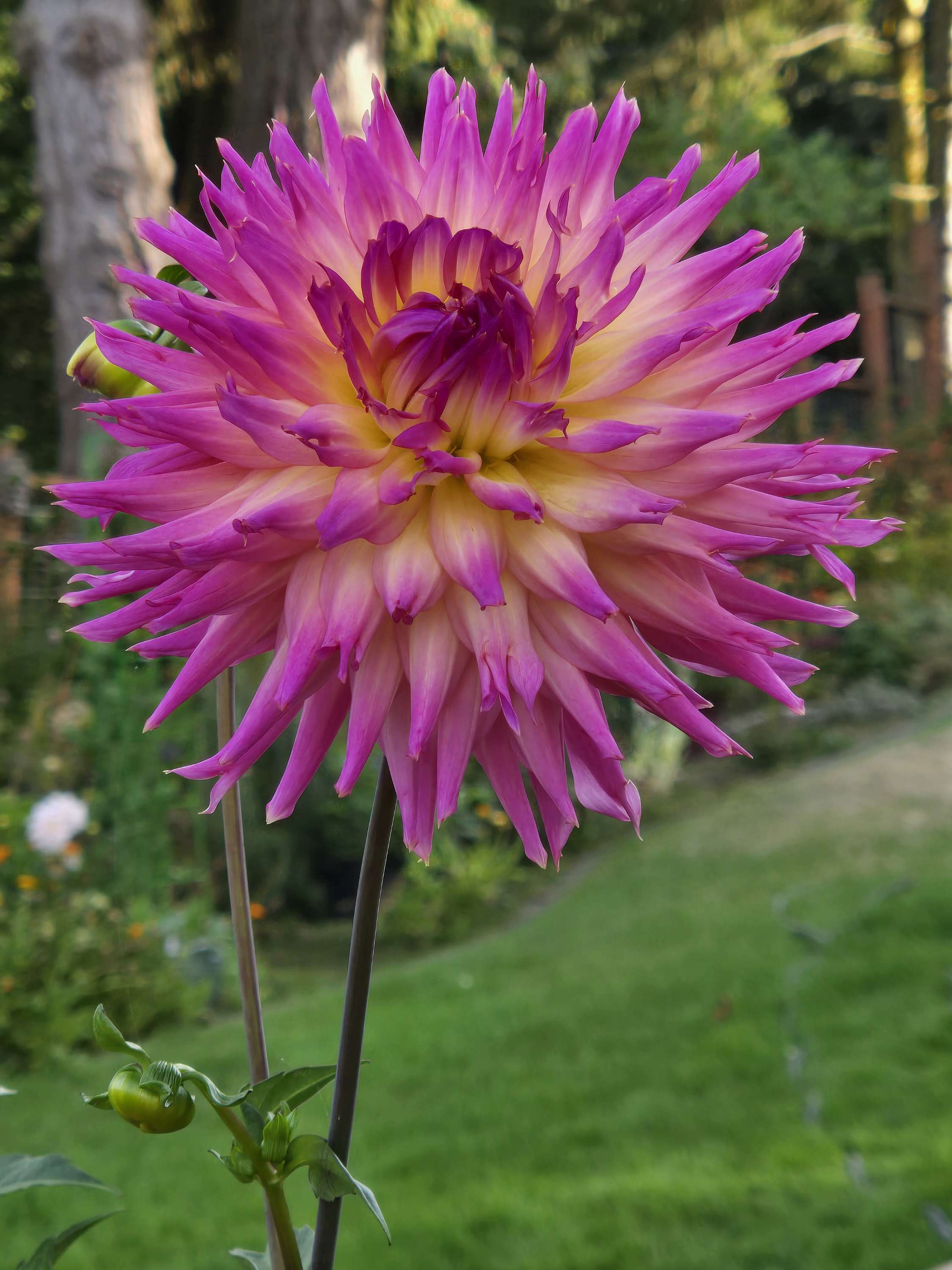 BLOOMQUIST MILDRED image 1