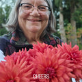 CHEERS image 0