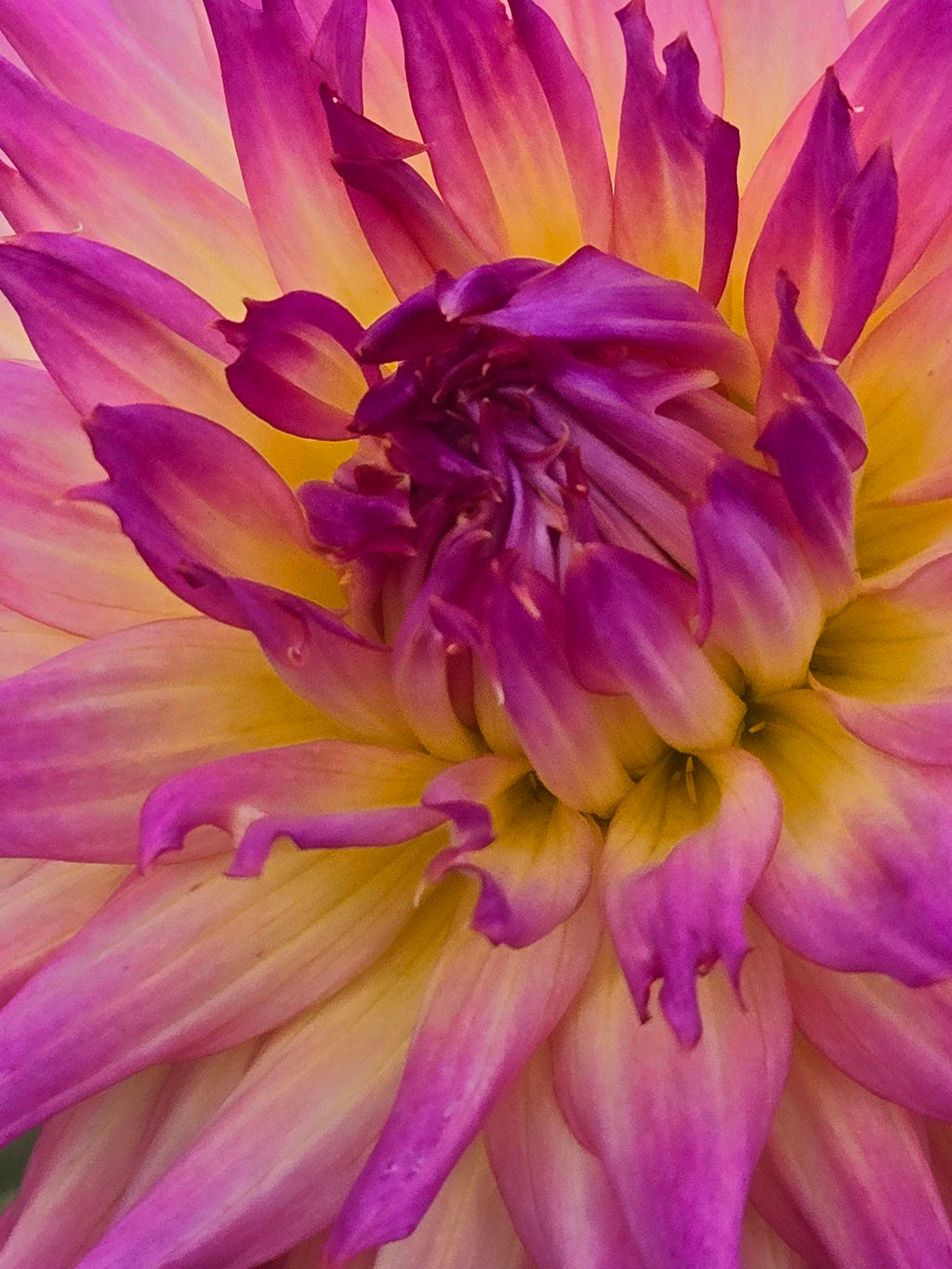 BLOOMQUIST MILDRED image 3