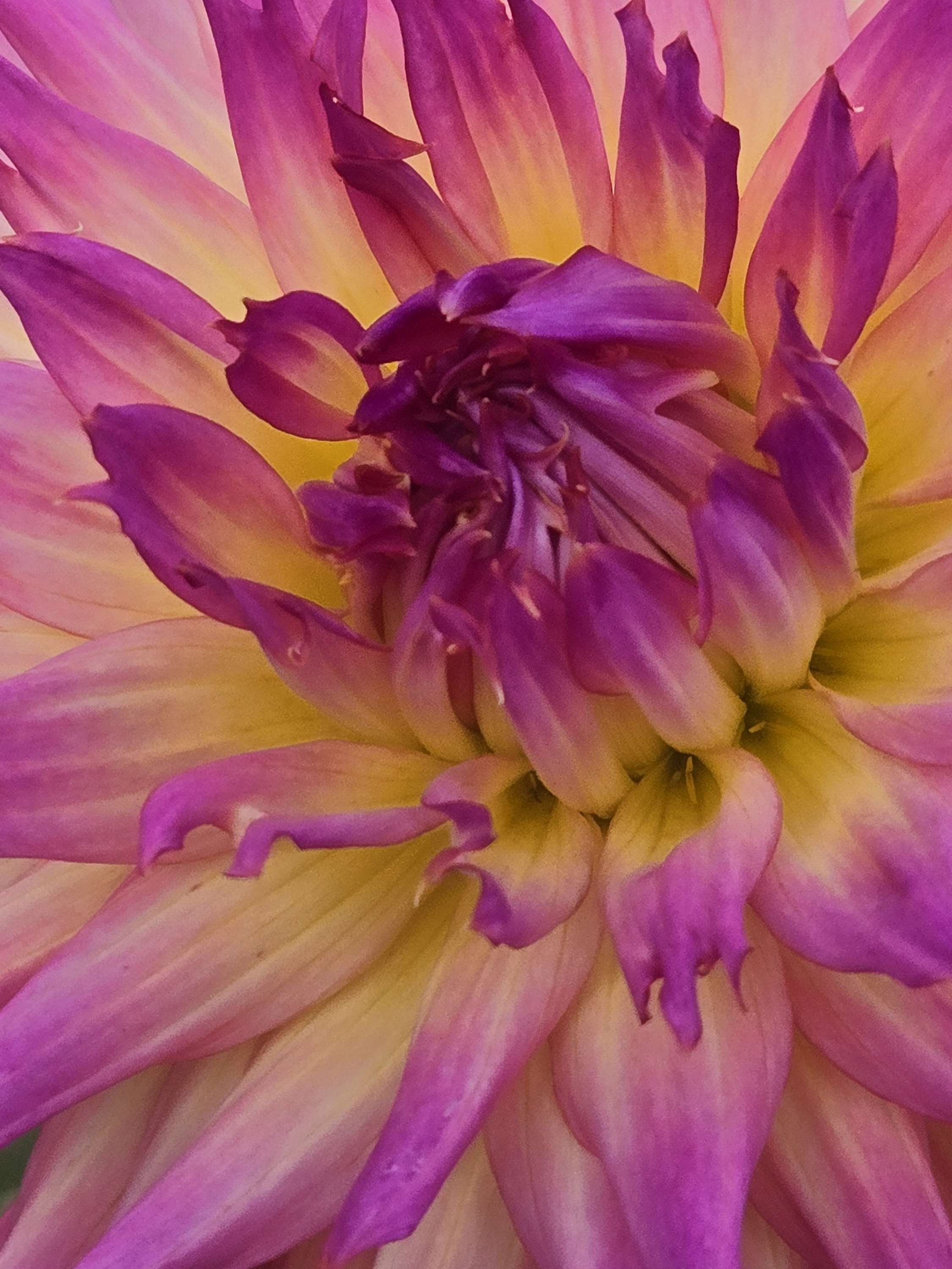 BLOOMQUIST MILDRED image 3