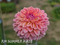 RM SUMMER HAZE image 0